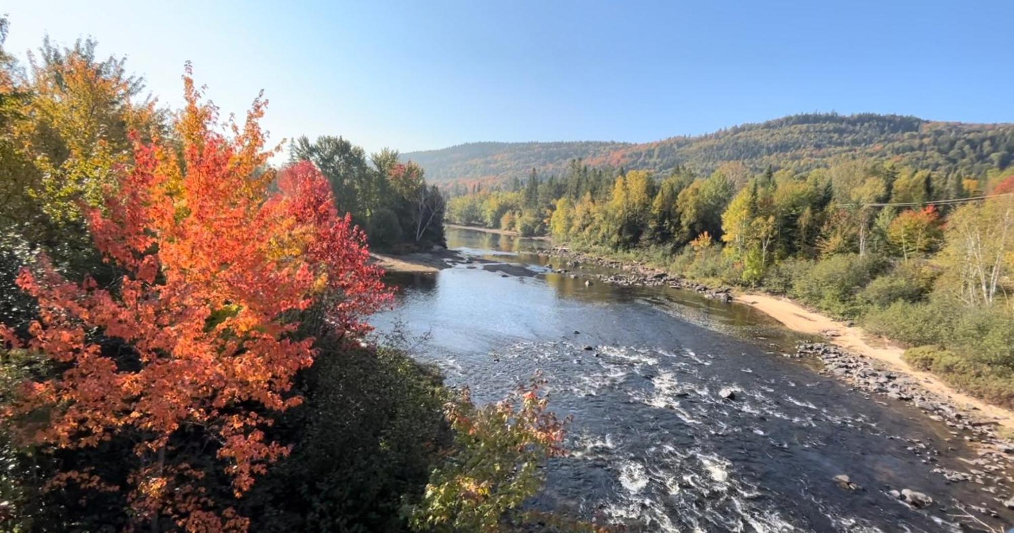 Le Refuge Du Repaire Villa Saint-Alexis-des-Monts Eksteriør bilde